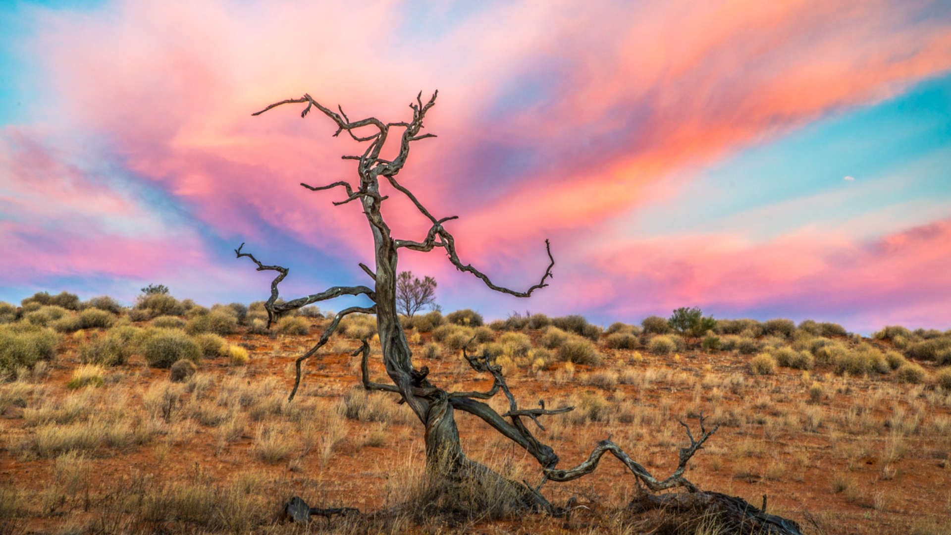 Simpson Desert Travel Guide — Why I Wrote the Book