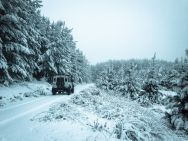 Defender in the Snow