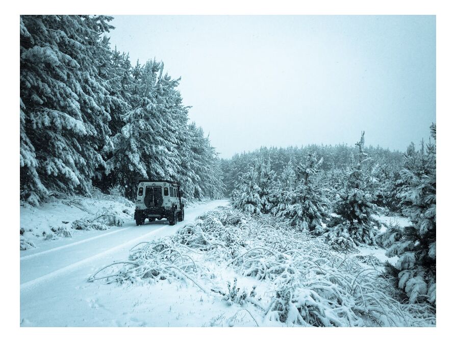 Defender in the Snow